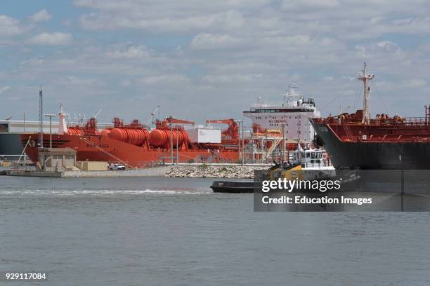 Tanker ships and a tug working in the port of Tampa Florida USA.