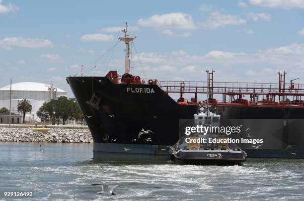 Tug pushing the hull of the Florida to position the tanker ship against the quay. Port of Tampa Florida USA.