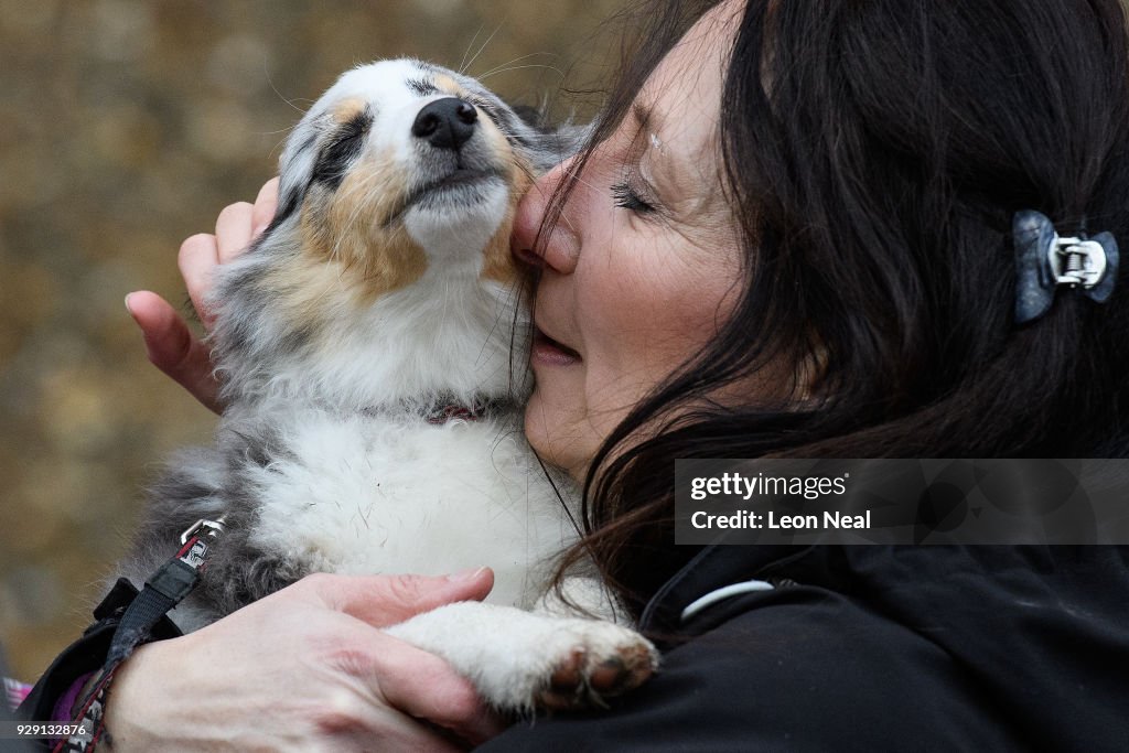 2018 Crufts Dog Show Day One