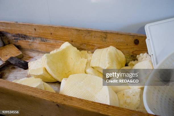 Typical cheese. Ragusa. Sicily. Italy.