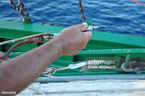 Traditional swordfish fishing. Fishingboat "Fulua". Harpoon. Torre Faro. Stretto di Messina. Messina. Sicily. Italy. Europe.