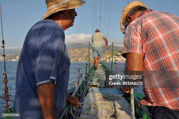 Traditional swordfish fishing. Fishingboat "Fulua". Fishermans Stretto di Messina. Messina. Sicily. Italy. Europe.