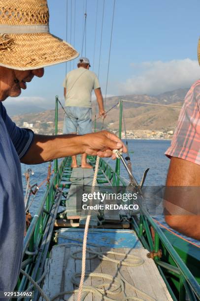 Traditional swordfish fishing. Fishingboat "Fulua". Harpoon. Torre Faro. Stretto di Messina. Messina. Sicily. Italy. Europe.