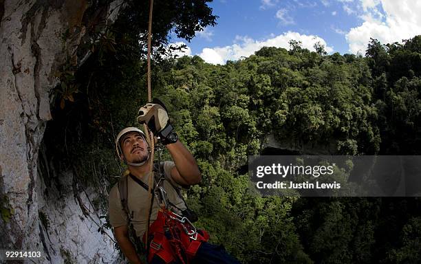 jungle guide in belize - belize caves stock pictures, royalty-free photos & images