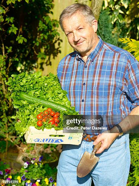 senior gardener with vegetables from garden. - parsons green photos et images de collection