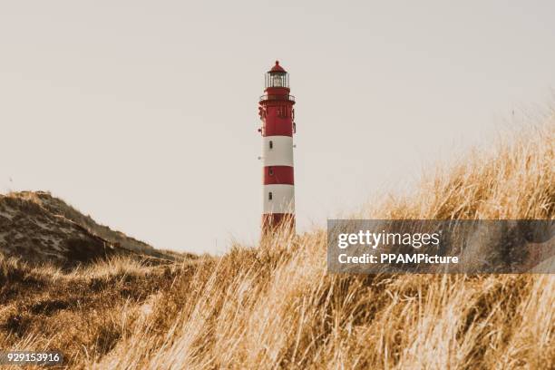 amrum leuchtturm in den dünen - amrum stock-fotos und bilder