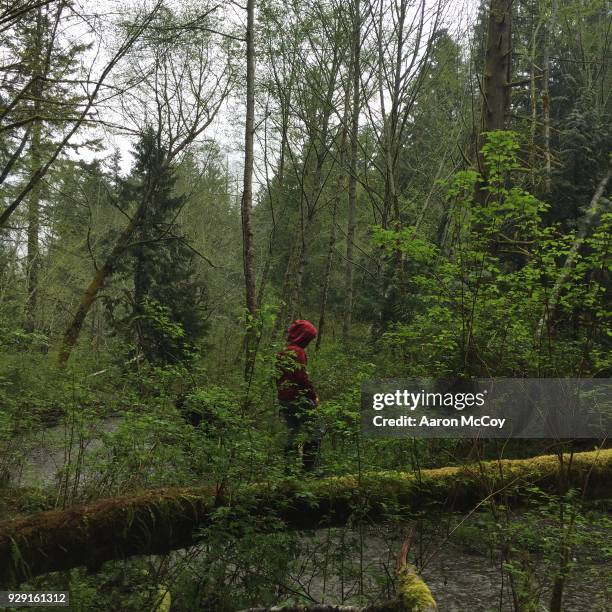 crossing the river - vashon island stock pictures, royalty-free photos & images