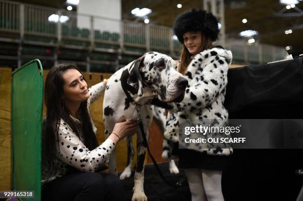 An owner pats her Great Dane on the first day of the Crufts dog show at the National Exhibition Centre in Birmingham, central England, on March 8,...