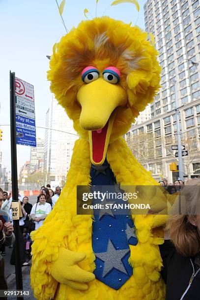 Sesame Street's Big Bird charactor November 9, 2009 at West 64th Street and Broadway in New York on the eve of the 40th anniversary of the broadcast...