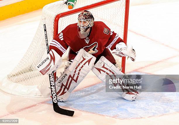 Goaltender Ilya Bryzgalov of the Phoenix Coyotes gets ready to make a save against the Chicago Blackhawks on November 5, 2009 at Jobing.com Arena in...