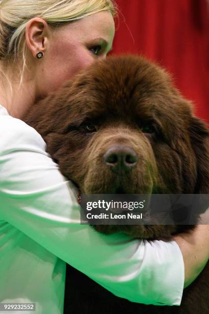 An owner sits with her Newfoundland dog during a competition round at the Crufts dog show at the NEC Arena on March 8, 2018 in Birmingham, England....