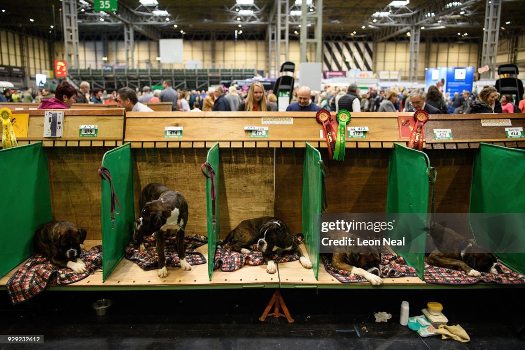 2018 Crufts Dog Show Day One