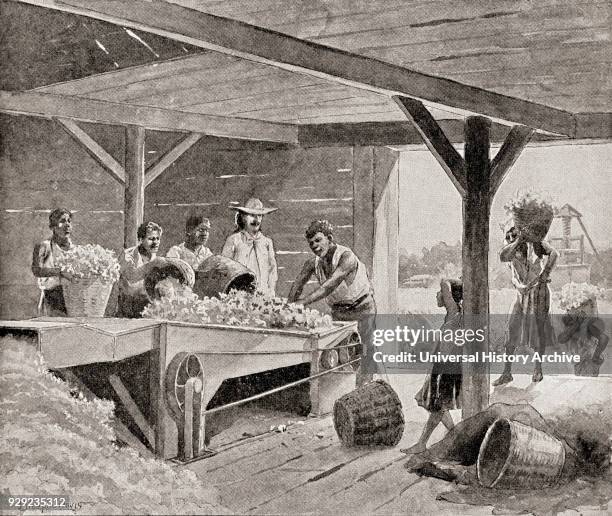 Slaves working with a 19th century cotton gin on a plantation in a southern state of the United States of America. From The History of Our Country,...