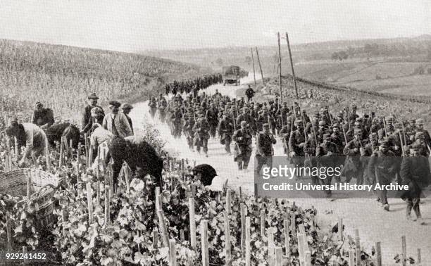 The trail of war amid the peaceful vineyards of Northern France during WWI. French peasants working on their vines in the Champagne region of France...