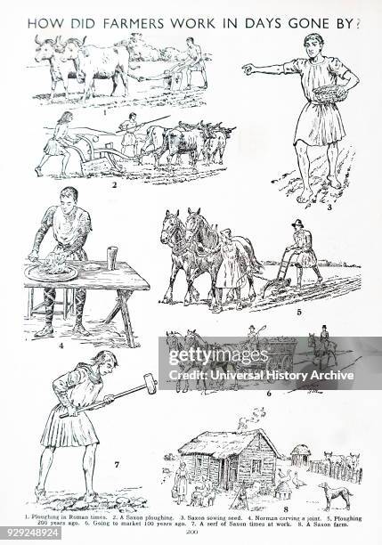 Saxon Rice 221 The Two Plough Horses Stock Photos, High-Res Pictures, and Images ...