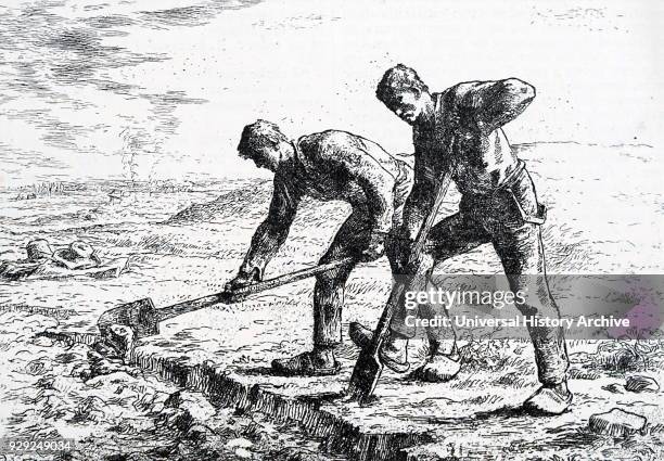 Print of the painting titled 'The Diggers' by Jean-Francois Millet a French painter and one of the founders of the Barbizon School. Dated 19th...