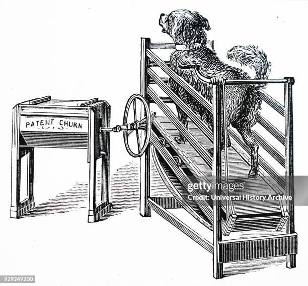 Engraving depicting a butter churn powered by a dog running on a treadmill. Dated 19th Century.