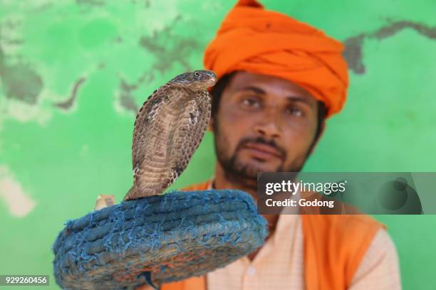 Snake charmer in Nandgaon, Uttar Pradesh. India.