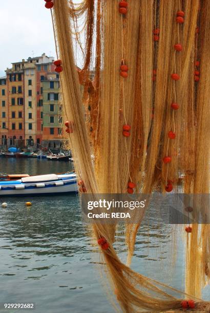 Camogli village. Golfo Paradiso gulf. Fishing net. Genova. Ligury. Italy. Europe.