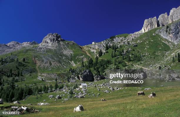 Catinaccio chain. Trentino Alto-Adige. Italy.