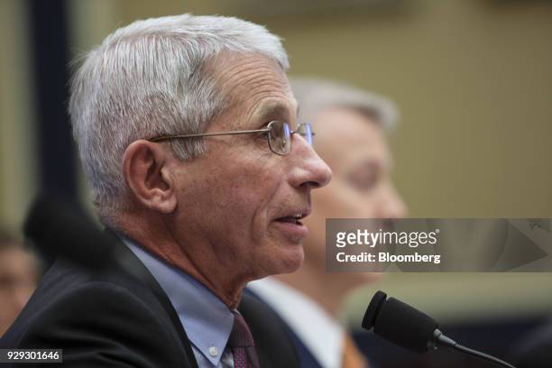 Anthony Fauci, director of the National Institute of Allergy and Infectious Diseases, speaks during a House Oversight and Investigations Subcommittee...