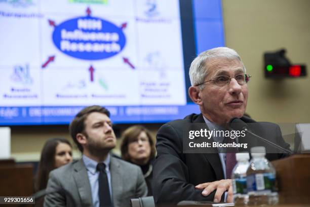 Anthony Fauci, director of the National Institute of Allergy and Infectious Diseases, speaks during a House Oversight and Investigations Subcommittee...