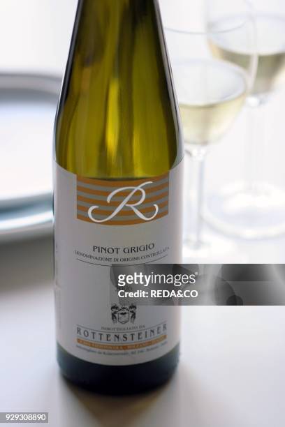 Pinot Grigio white wine. Italy.