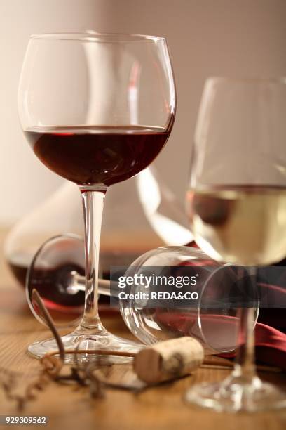 Eno-gastronomia. Trentino. Still-life. Vino bianco e rosso. Calice. Bicchiere. Decanter.