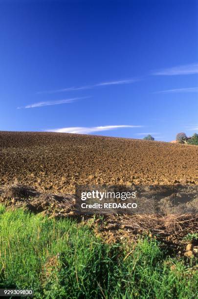 Casteggio. Oltrepò Pavese. Pavia province. Lombardia. Italy.