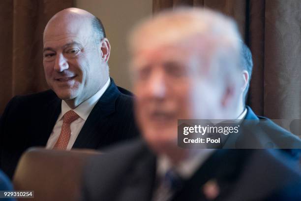 Outgoing Director of the National Economic Council Gary Cohn listens to US President Donald J. Trump deliver remarks during a meeting with members of...