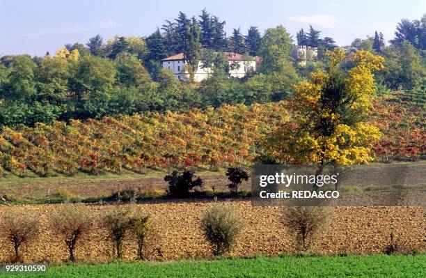 Casteggio. Oltrepò Pavese. Pavia province. Lombardia. Italy.