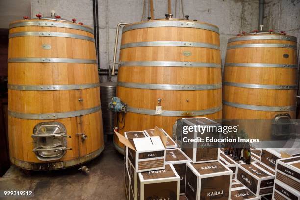 Large oak fermentation barrels of Pinot Grigio at Kabaj Morel Guest House and winery Slovrenc Dobrovo Brda Slovenia.