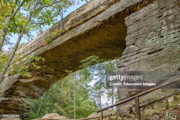 Natural Bridge State Resort Park in Kentucky.