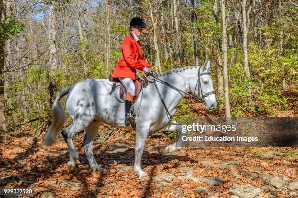 Huntsman hunting after the Annual Blessing of the Hounds at the Iroquois Hunt Club in Kentucky .