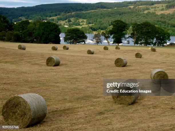 Round straw bales on field next to Coniston Water, The Lake District, Cumbria, UK.