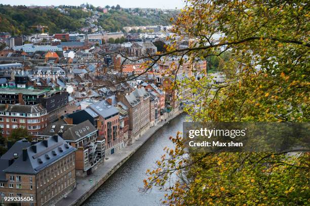 overlooking view of namur city, belgium. - namur 2017 stock pictures, royalty-free photos & images