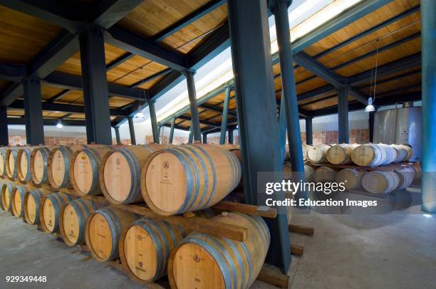 Europe. Italy. Marche. Osimo. Umani Ronchi Cellar.