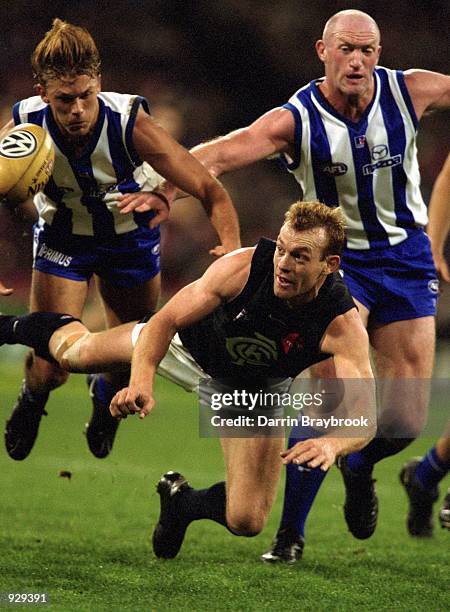 Adrian Hickmott for Carlton in action during round nine of the AFL season played between the Kangaroos and the Carlton Blues held at the Melbourne...