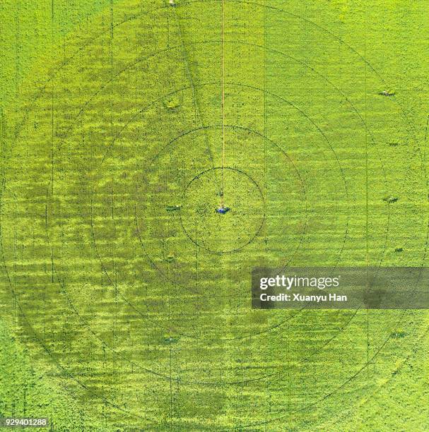 circles on green field - círculo nas plantações - fotografias e filmes do acervo