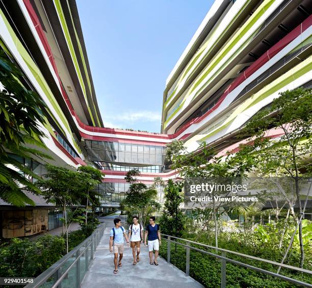 View along landscaped walkways with natural vegetation. Singapore University of Technology and Design, Singapore, Singapore. Architect: UNStudio,...