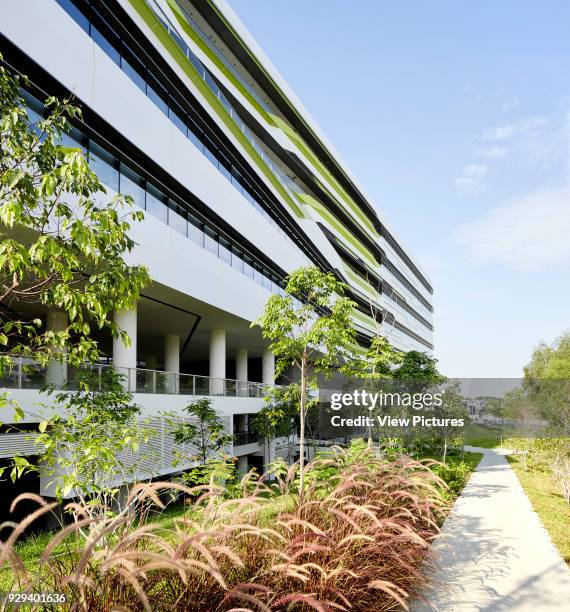 Landscaped paths along building facade. Singapore University of Technology and Design, Singapore, Singapore. Architect: UNStudio, 2015.