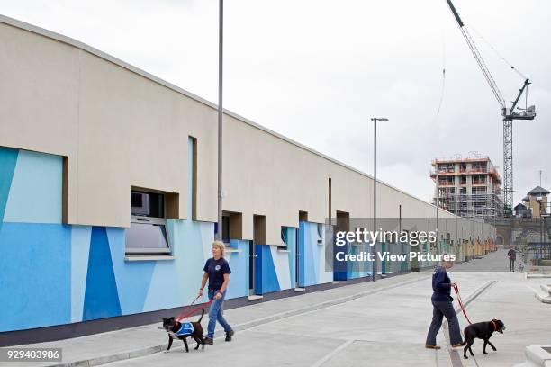 Colour coded perspective of kennel building. Battersea Dogs & Cats Home, London, United Kingdom. Architect: Jonathan Clark Architects, 2015.