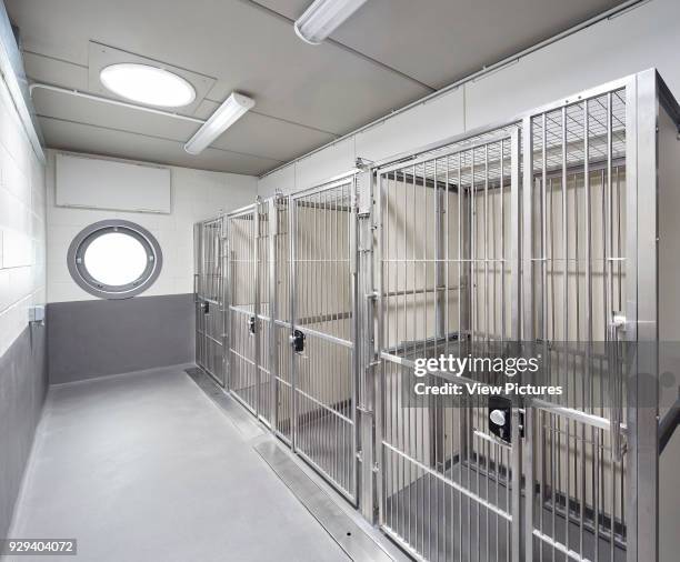 Kennel block interior. Battersea Dogs & Cats Home, London, United Kingdom. Architect: Jonathan Clark Architects, 2015.
