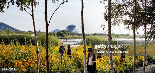 Distant view towards opera from blooming wetland meadow. Harbin Opera House, Harbin, China. Architect: MAD Architects, 2015.