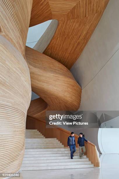 Timber sculpted stairway. Harbin Opera House, Harbin, China. Architect: MAD Architects, 2015.