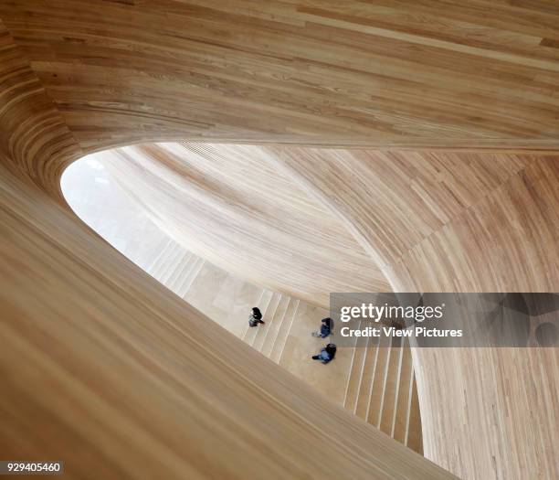 Timber sculpted stairway viewed from above. Harbin Opera House, Harbin, China. Architect: MAD Architects, 2015.