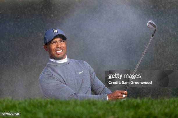 Tiger Woods plays a shot from a bunker on the 13th hole during the first round of the Valspar Championship at Innisbrook Resort Copperhead Course on...