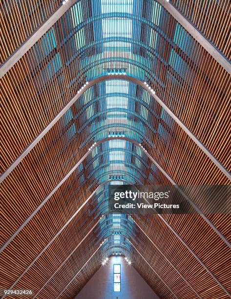 Roof detail. Sacred Heart Cathedral Of The Catholic Diocese Of Kericho, Kericho, Kenya. Architect: John McAslan & Partners, 2016.