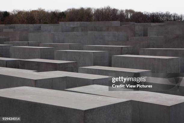 Memorial to the Murdered Jews of Europe, Berlin, Germany. Architect: Peter Eisenman, 2005. Image of the Jewish Memorial Stone work.