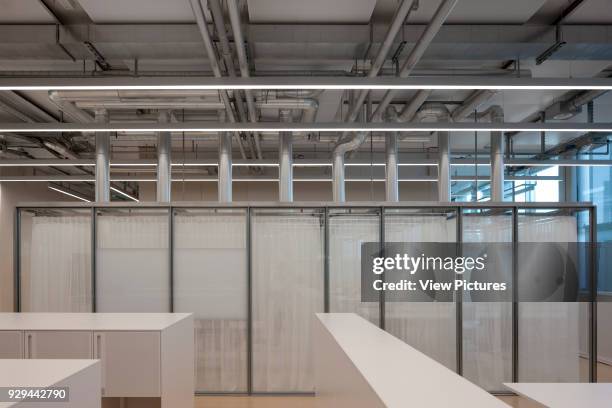 Office space with glass pofd. Novartis Campus Virchow 6, Basel, Switzerland. Architect: Alvaro Siza, 2012.